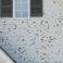 haildamage